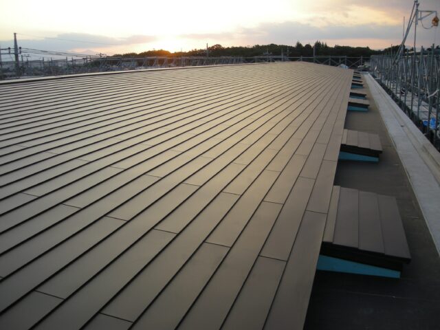 画像：ギャラリー